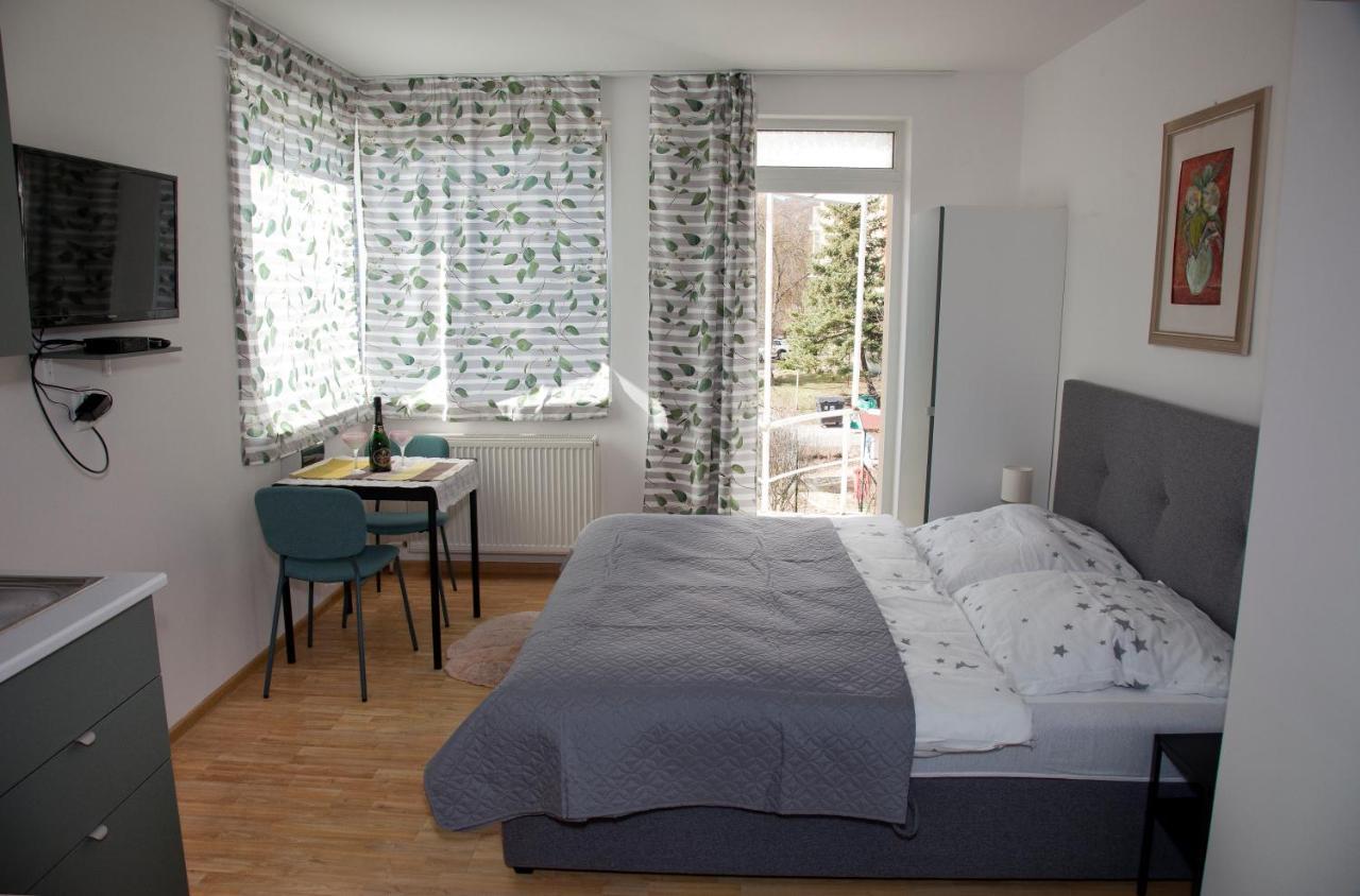 Apartman U Doktora Банска-Бистрица Экстерьер фото